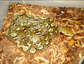 Reticulated Python (Malayopython reticulatus)