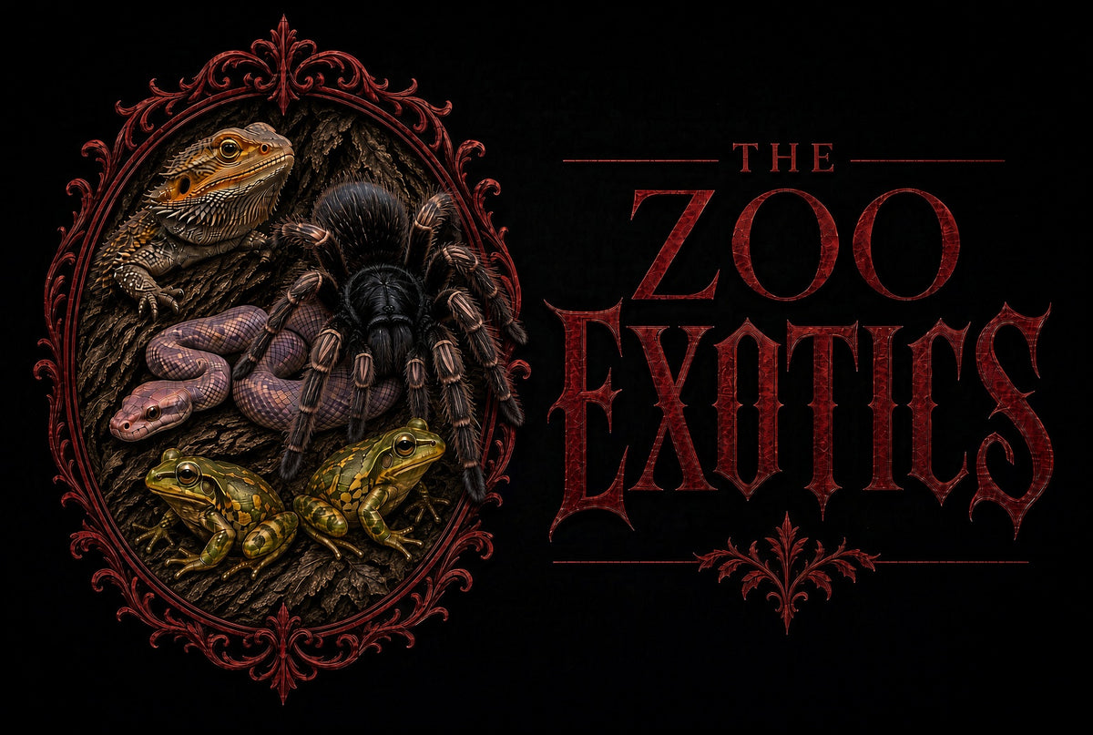 The Zoo Exotics